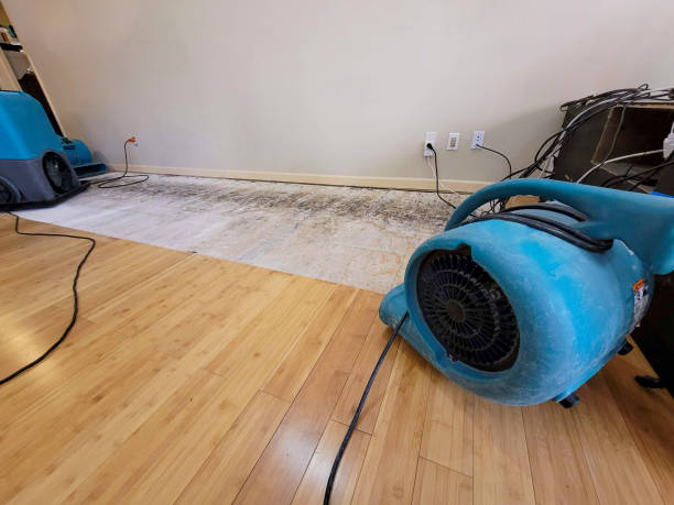 Professional Flood Damage Cleanup technician working in Voorheesville, NY